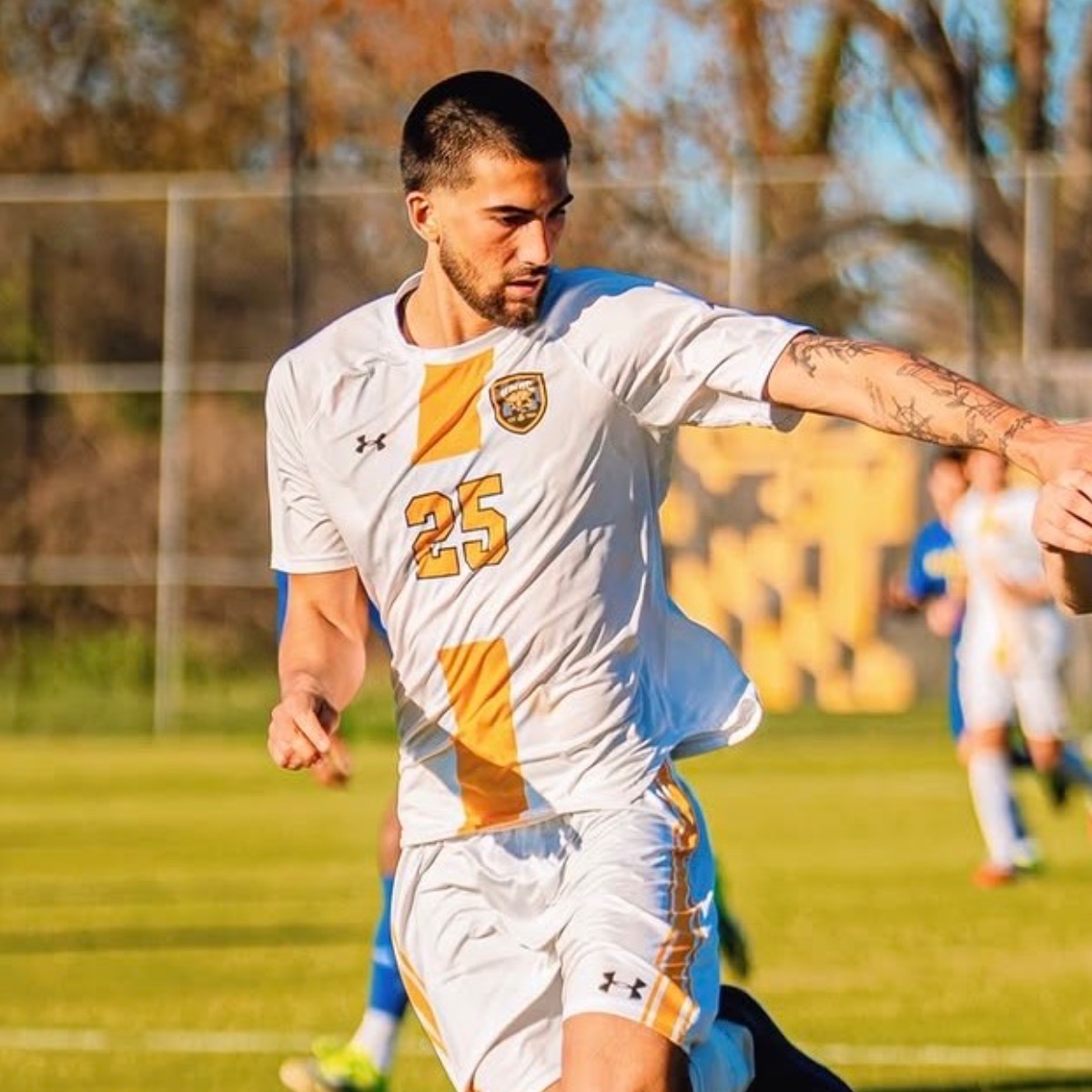 Portrait of Trajan Robes